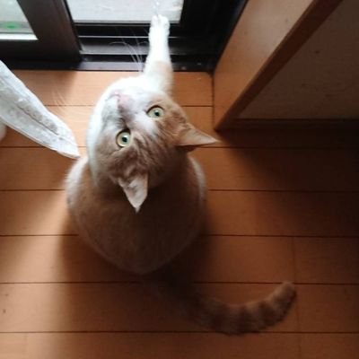 F.さんのプロフィール画像