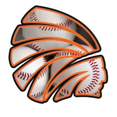 The official twitter account for Dyer County Baseball