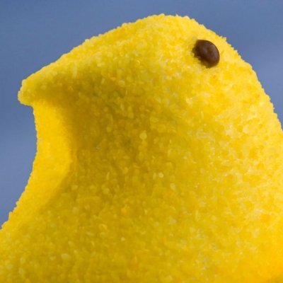 uberpootpoot's profile picture. everyone DNI