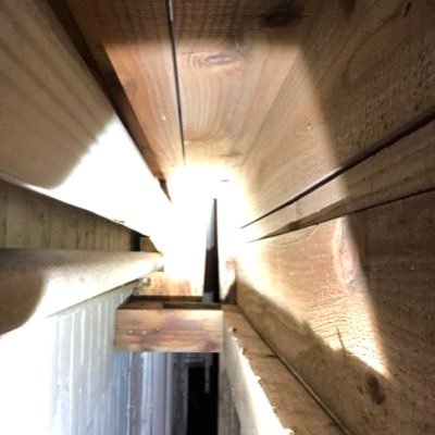rockbyla's profile picture. Wood