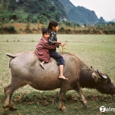 LogosUsa's profile picture. "Ever since Eve gave Adam the apple, there has been a misunderstanding between the sexes about gifts.” - Nan Robertson