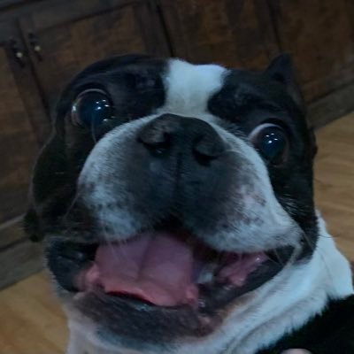 JamesGraggMD's profile picture. .