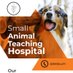 Small Animal Hospital, Makerere (@smallhospital) Twitter profile photo Small Animal Hospital, Makerere (@smallhospital) Twitter profile photo