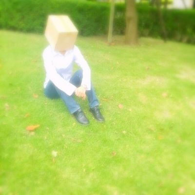 ダンボールさんのプロフィール画像