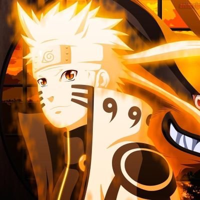 BugetDe's profile picture. Marcel