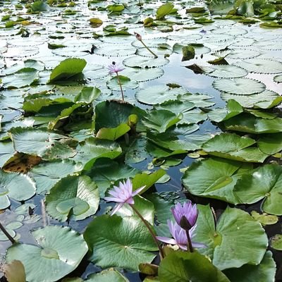 Yun34248182's profile picture. 