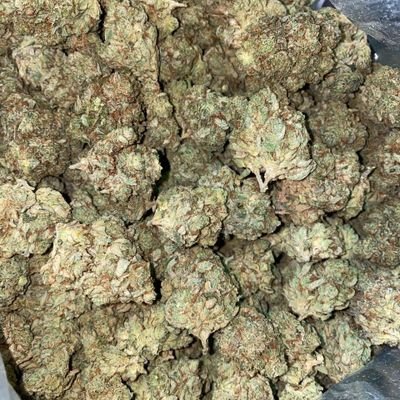 a marijuana activist.
Y'all can contact me if u need good quality marijuana