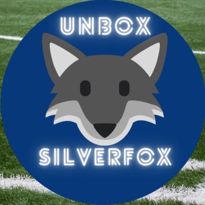 UnboxSilverFox Profile Picture