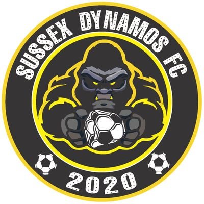 Sussex sunday league team play football the right way

Want to join a growing side
Email sussexdynamos@outlook.com
