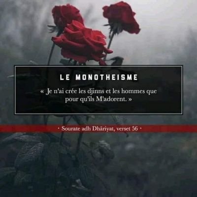 ..Dans l'ennui de la solitude,mon regard se pose sur les réseaux pendant que silencieusement j'entends mon âme qui pleure de ne pas être comme les pieuses..