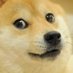 Daniel Zhang (@kal4shn1k0v) Twitter profile photo Daniel Zhang (@kal4shn1k0v) Twitter profile photo