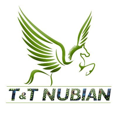 TTNubian1's profile picture. Children’s book author (Ranti Akintobi) - Bringing the African culture to children.