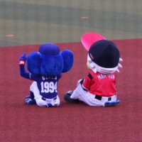 あおー (@cygnus7_7) 's Twitter Profile