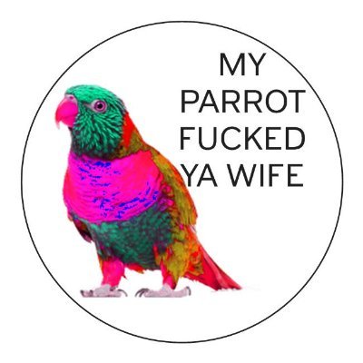 2-piece experimental punk/metal band
please support us on gumroad if you support our birds cucking simps movement. https://t.co/IeFXyzQgKU
