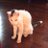 sickcosti's profile image