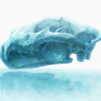 t___ytxxsub's profile picture. ｶﾞﾊﾊ