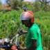 Helmets Labeling Crops (@cropshelmets) Twitter profile photo Helmets Labeling Crops (@cropshelmets) Twitter profile photo