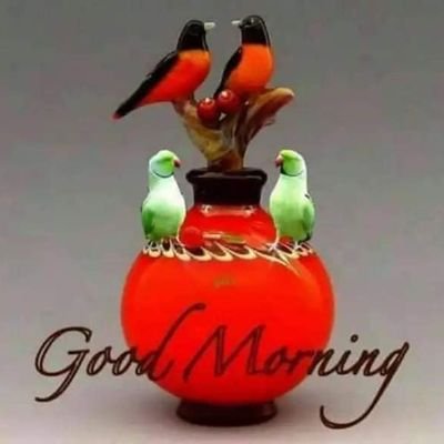 cjtKmIWICdC3UJN's profile picture. मित्रताकाे हात दिदै छु