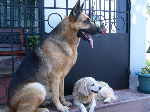 ed_vp_11's profile picture. 