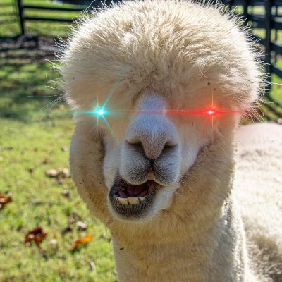 RoidedA's profile picture. Bitcoin!!! 2021 #Bitcoin Bull Run Year!!!
We UNVAXXED are #PUREBLOOD