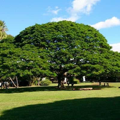 NSK54583662's profile picture. 