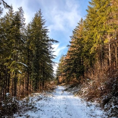 Official Twitter account of Visit Brechfa Forest 
Tag images with #visitbrechfaforest to be featured
Official website coming soon... 🌲