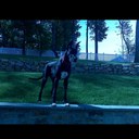 Sharon Buzzard - @msu71slug - Twitter