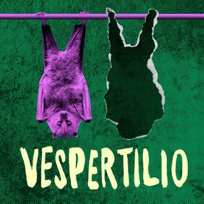 VespertilioPlay Profile