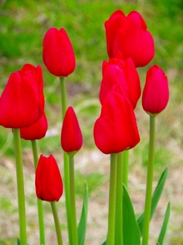 mubot111's profile picture. Hello  II'm  Japanese.