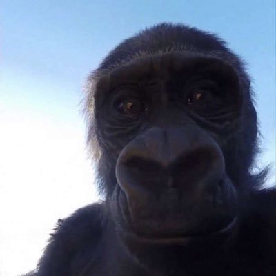 dopielolz's profile picture. 😳