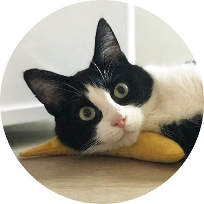 Hi I’m Lucy😼I run this CardanoStakePool together with my brother Jamie😼 and my human🤓. The human also develops software for the community and F2LB🥰