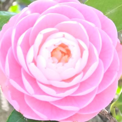 22f3Pb5xjEepUwu's profile picture. 