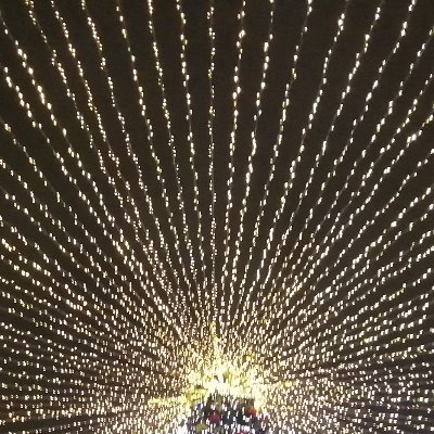 dtdbln's profile picture. We'll Lobby 4
let them saw DNO