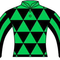 ジャスタウェイの競馬100%データ (@jkd_100) Twitter profile photo