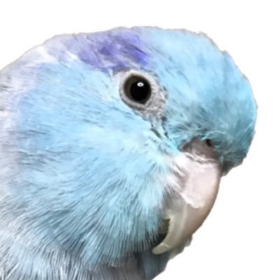 🌗ちねりんぐさんのプロフィール画像
