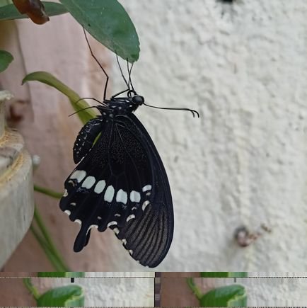 AdhirajGhadge's profile picture. The way a kralcter has fun is by jimying