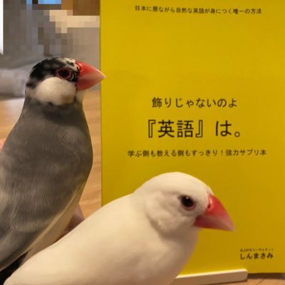 Mtalk 会話でもライティングでも 文章作りで躓いた時の対処法 否定文なら肯定文に 逆も然り 主語を変えて視点を変える