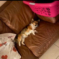 CK (@coimkav) 's Twitter Profile