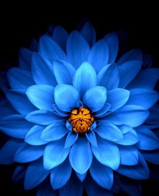 rajash's profile picture. RT's NOT NECESSARILY= endorsement. I speak my mind