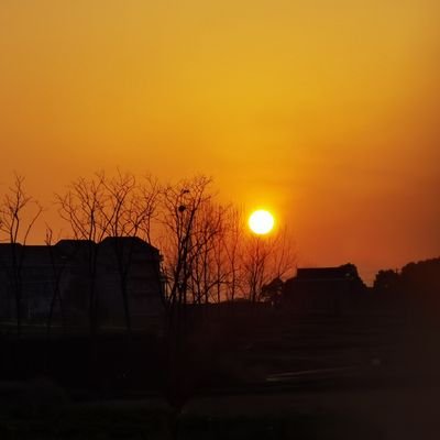 andrew00883241's profile picture. 