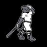 brbaseball's profile picture. Bridgewater-Raritan HS Baseball — 2024 NJ Group IV State Champions