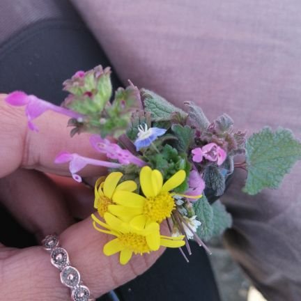 ilovaivanka's profile picture. Кој не те разбира кога молчиш, нема да те разбере и кога ке зборуваш.