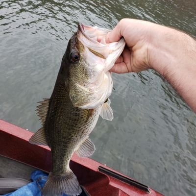 James58415068's profile picture. country