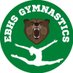 EBHS Gymnastics Team (@ebhsgymnastics) Twitter profile photo EBHS Gymnastics Team (@ebhsgymnastics) Twitter profile photo