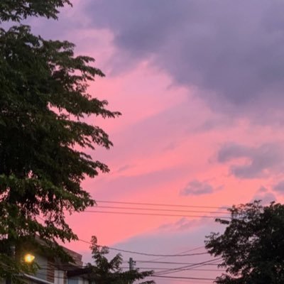 cannysssha's profile picture. 