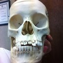 Alex Quezada - @Alex_QuezadaDDS - Twitter