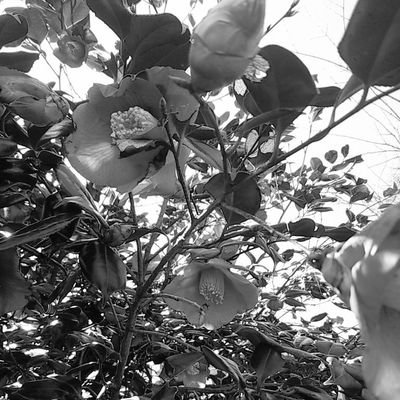 tanakaas12933's profile picture. 新しいアカウント→@harumocch1
こちらの垢も残します。

同志（ピーター最推し）推しと絡んで絵を載せるアカウントでした。
ぱさぱぱさぱん３ごう