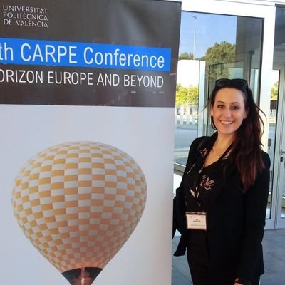 Development Manager / Professor at UPV /Researcher at IIE