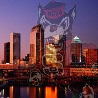 TamPACK (@tampack) 's Twitter Profile