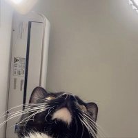 Cetaitbeau (@yanranfan) 's Twitter Profile Photo